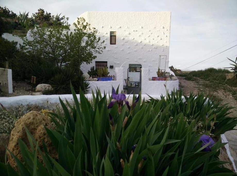 Cuevas Los Coloraos - La Residencia Villanueva de las Torres Екстер'єр фото